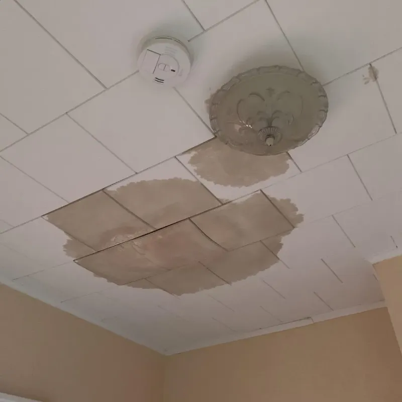 Ceiling Water Damage Repair in Tuscarawas County, OH