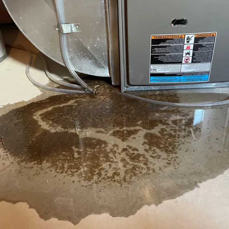 Pipe Burst and Leak Restoration in Tuscarawas County, OH