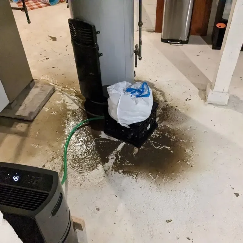 Sewage Backup Cleanup Service in Tuscarawas County, OH